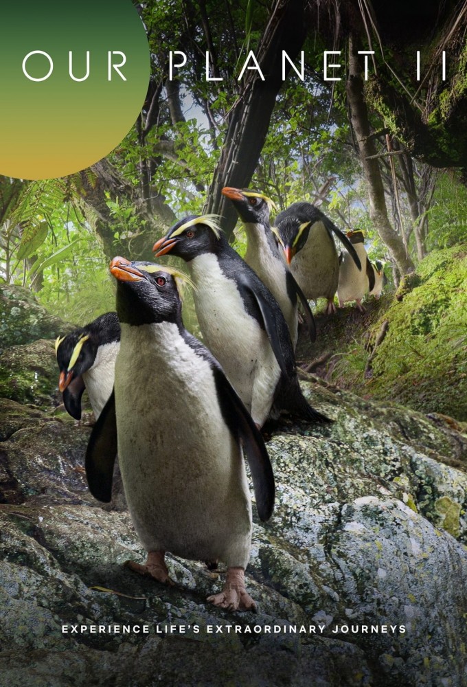 Our Planet (2019) - Season 2 [101075] (A1772786665) [[TV Programmes]] --Plex--